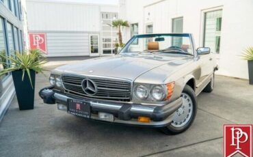 Mercedes-Benz-SL-Class-Cabriolet-1986-Silver-Palomino-125381-3