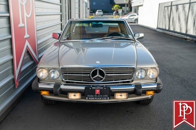 Mercedes-Benz-SL-Class-Cabriolet-1986-Silver-Palomino-125381-37