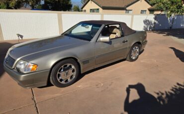 Mercedes-Benz-SL-Class-Cabriolet-1995-Smoke-Silver-Tan-104607-23