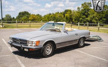 Mercedes-Benz-SL-Class-Coupe-1973-Gray-Tan-156700-10