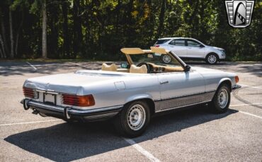 Mercedes-Benz-SL-Class-Coupe-1973-Gray-Tan-156700-11