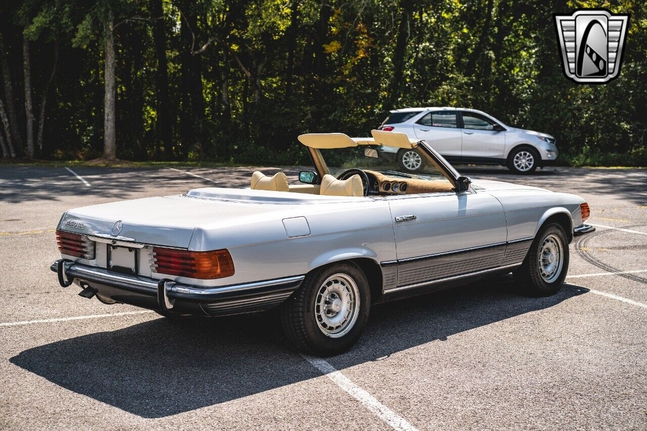 Mercedes-Benz-SL-Class-Coupe-1973-Gray-Tan-156700-11