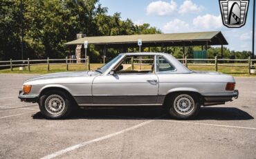 Mercedes-Benz-SL-Class-Coupe-1973-Gray-Tan-156700-3