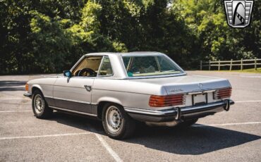 Mercedes-Benz-SL-Class-Coupe-1973-Gray-Tan-156700-4