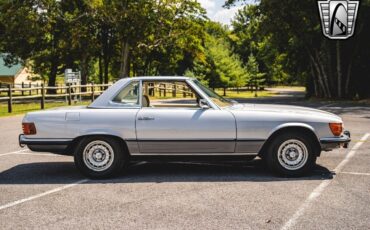 Mercedes-Benz-SL-Class-Coupe-1973-Gray-Tan-156700-7