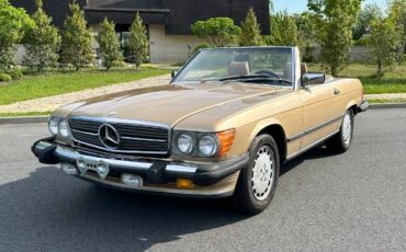 Mercedes-benz-Benz-1986-197949-1