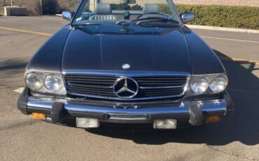 Mercedes-benz-Benz-1989-grey-230136-16