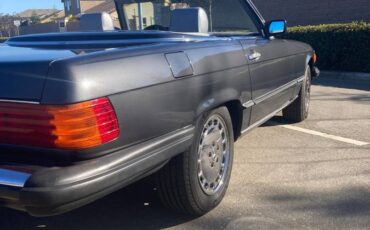 Mercedes-benz-Benz-1989-grey-230136-3