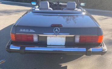 Mercedes-benz-Benz-1989-grey-230136