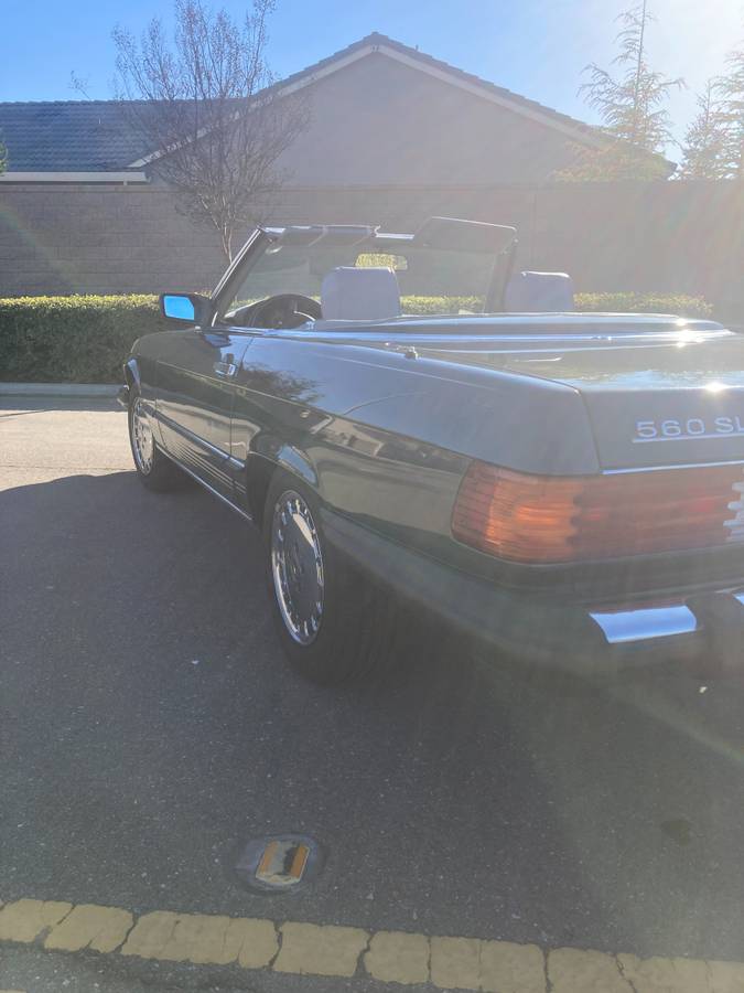 Mercedes-benz-Benz-1989-grey-230136-4