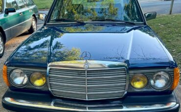 Mercedes-benz-Benz-240d-diesel-1983-166245