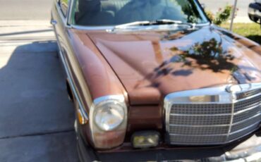 Mercedes-benz-Benz-280c-1975-brown-135540-5