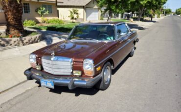 Mercedes-benz-Benz-280c-1975-brown-135540-7