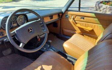 Mercedes-benz-Benz-280c-1975-brown-135540-8