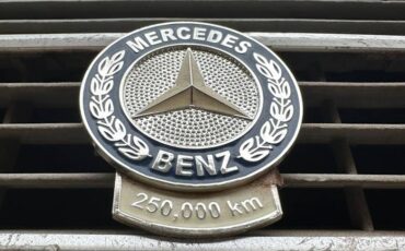 Mercedes-benz-Benz-280e-1977-327280-4