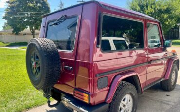 Mercedes-benz-Benz-gd350-diesel-1992-red-128747-3