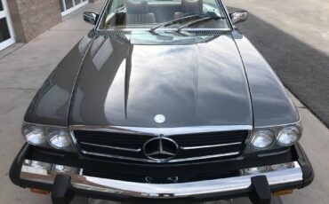 Mercedes-benz-benz-450sl-1978-silver-108280-2