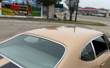 Oldsmobile-442-1970-Copper-Gold-0-38