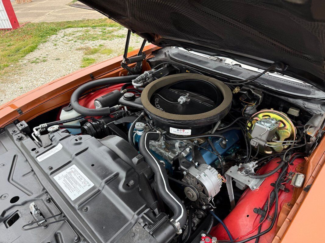 Oldsmobile-442-1971-Orange-Orange-0-17