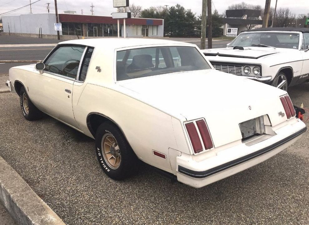 Oldsmobile-442-1979-White-Tan-74542-5