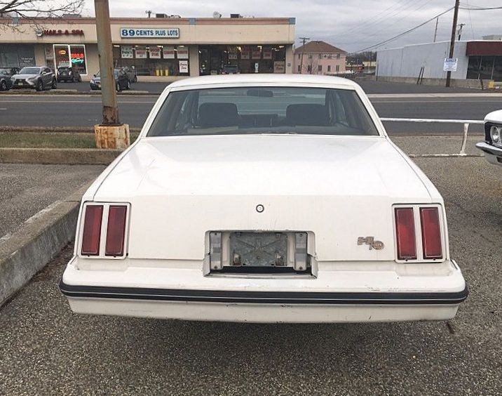 Oldsmobile-442-1979-White-Tan-74542-6