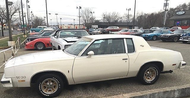 Oldsmobile-442-1979-White-Tan-74542-7