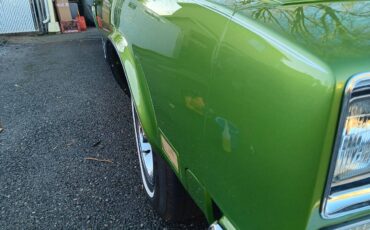 Oldsmobile-Cutlass-1976-green-64374-12