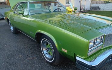 Oldsmobile-Cutlass-1976-green-64374-23