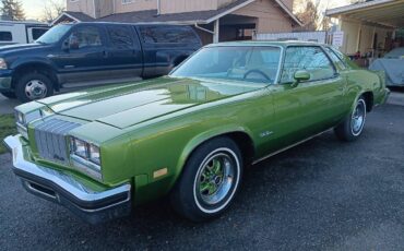 Oldsmobile-Cutlass-1976-green-64374-3