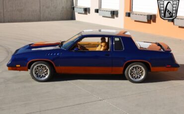 Oldsmobile-Cutlass-Coupe-1981-Blue-Camel-1489-11