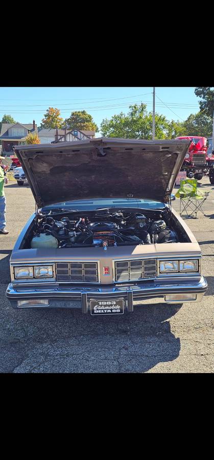 Oldsmobile-Delta-88-brougham-royale-1983-brown-58741-1