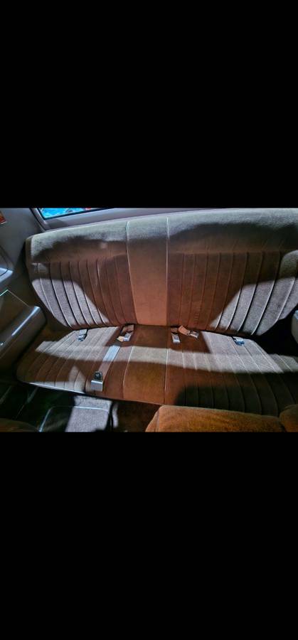 Oldsmobile-Delta-88-brougham-royale-1983-brown-58741-10