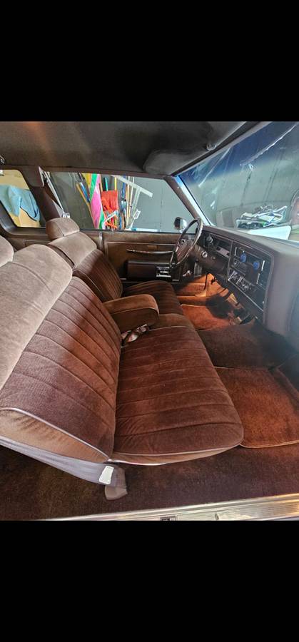 Oldsmobile-Delta-88-brougham-royale-1983-brown-58741-11