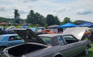 Oldsmobile-Delta-88-brougham-royale-1983-brown-58741-5