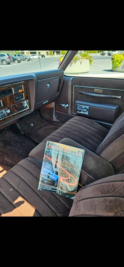 Oldsmobile-Delta-88-brougham-royale-1983-brown-58741-6