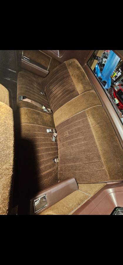 Oldsmobile-Delta-88-brougham-royale-1983-brown-58741-9