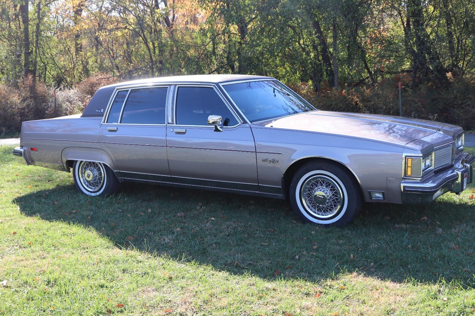 Oldsmobile-Ninety-Eight-Berline-1983-Beige-Brown-106217-1