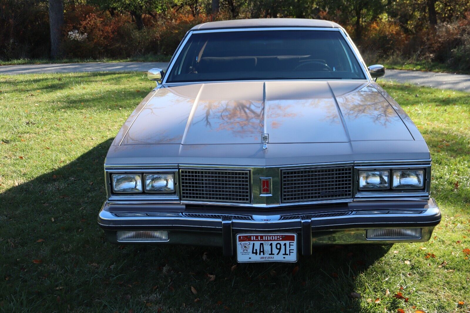 Oldsmobile-Ninety-Eight-Berline-1983-Beige-Brown-106217-2