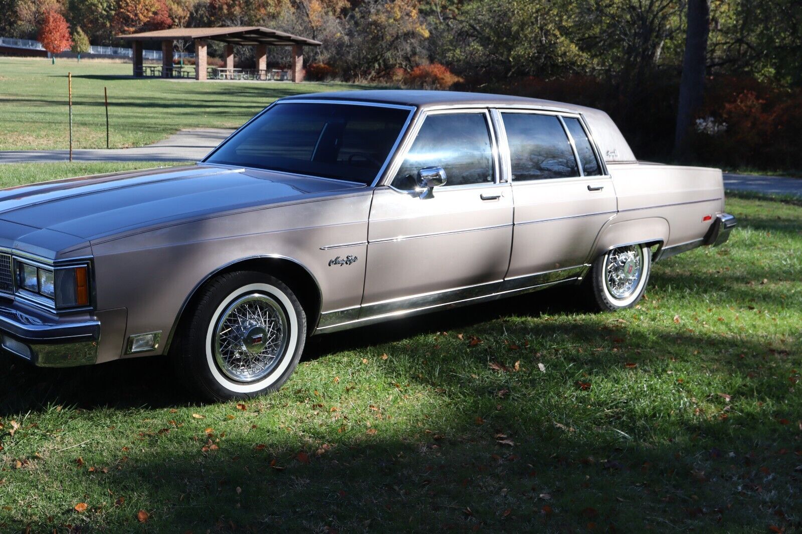 Oldsmobile-Ninety-Eight-Berline-1983-Beige-Brown-106217-3