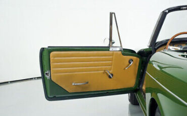 Other-Tiger-Cabriolet-1965-Green-Tan-142744-15