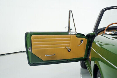 Other-Tiger-Cabriolet-1965-Green-Tan-142744-15