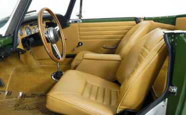 Other-Tiger-Cabriolet-1965-Green-Tan-142744-17