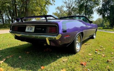 Plymouth-Barracuda-Cabriolet-1970-Purple-Black-999999-5