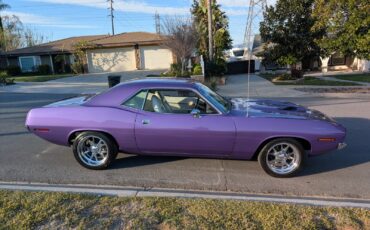 Plymouth-Barracuda-Coupe-1970-Purple-White-164153-1