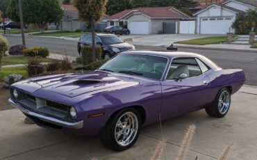 Plymouth Barracuda  year1}