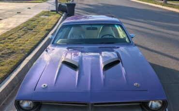 Plymouth-Barracuda-Coupe-1970-Purple-White-164153-4