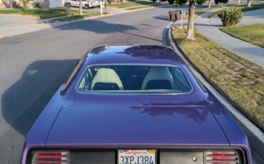 Plymouth-Barracuda-Coupe-1970-Purple-White-164153-8