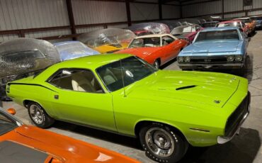 Plymouth-Cuda-1970-Green-White-0-30