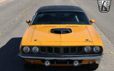 Plymouth-Cuda-1971-Yellow-Black-131509-4