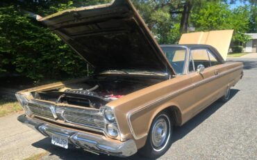 Plymouth-Fury-vip-1966-brown-83686-8